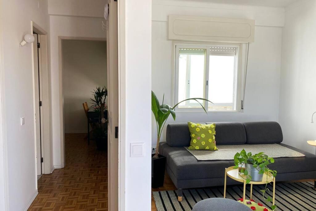Superstar Terrace Apartment Faro Luaran gambar